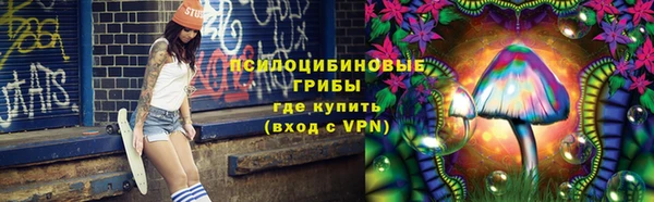 молекула духа Наволоки